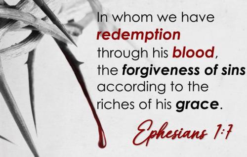 011d584d-1dd6-4f08-ad4f-fd4783b676eb