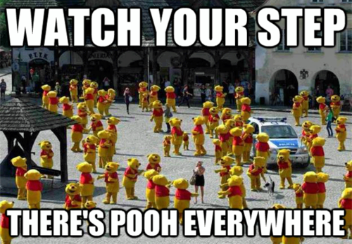 pooh everywhere