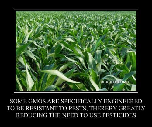 ce34e259-2cdf-4786-b609-746b4d5c870c