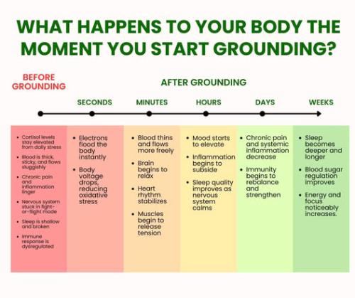 ,      ,     0  422277031_34229323200