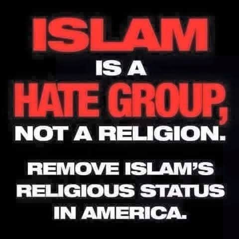 5242ed11310a25ef62eb47cd82b5005c_768x0