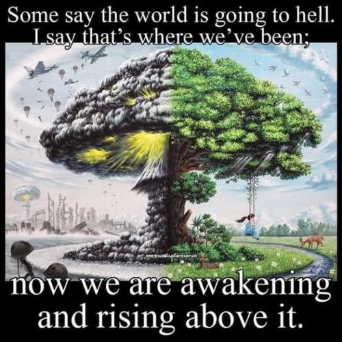 517362953_743518715230990_4685394889255991736_n