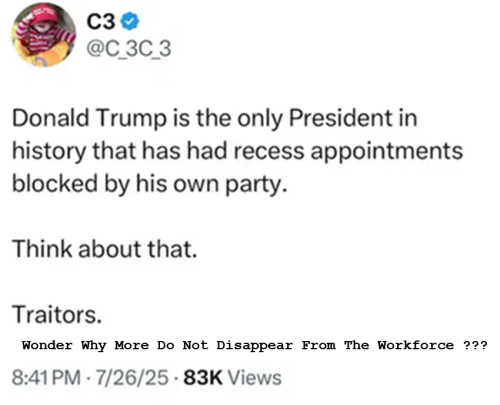 WonderWhyMoreDoNotDisappearFromTheWorkForce