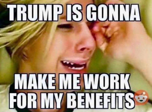 FB_IMG_1753742140722