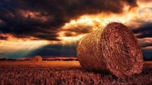 a596c3d5-26a0-478c-b4a0-50f24e21a950