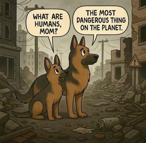 1e2c703595d9daf69af5e925f5a2f0b1