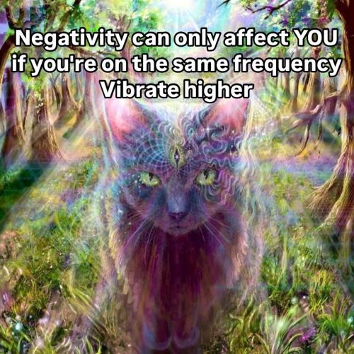 8e3ebf291a7b5b06577006ca68f1f15b