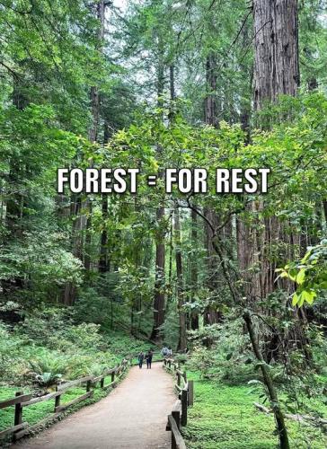 514053974_122192175584053343_5254462333604655024_n