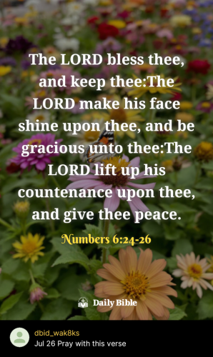 2025-07-261753569081254