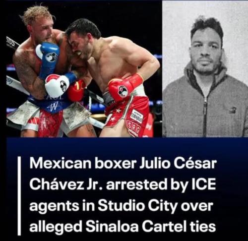 photo_2025-07-04_08-16-15