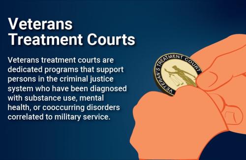 1B-Veterans Treatment Court