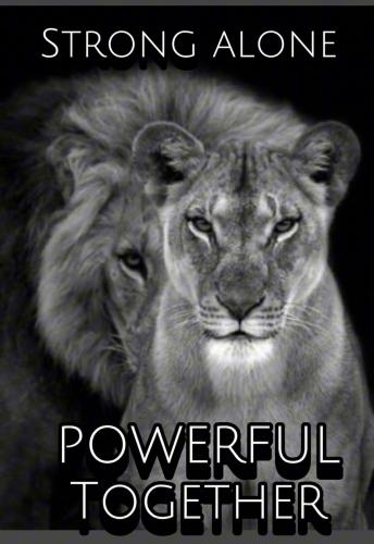 0849b7387b119572df35d1d5a8ab5833