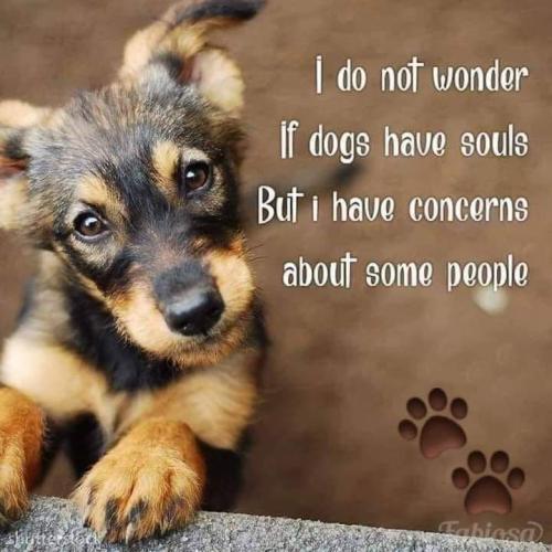 45d722721ae7787784a04ccdd2c2d7ce