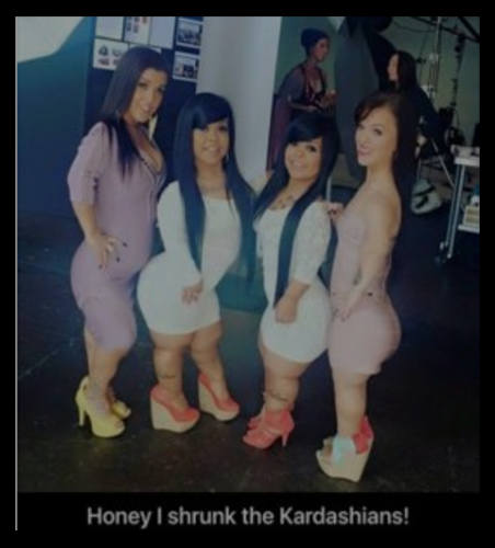 shrunk the kardashians