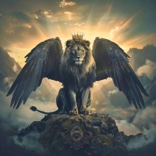 ac354a0845dfc129576c4f64452adb93