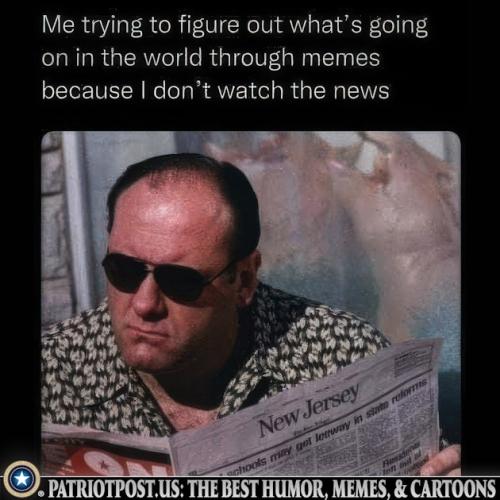 01K0HF231DY05W1GK3CD615DZD