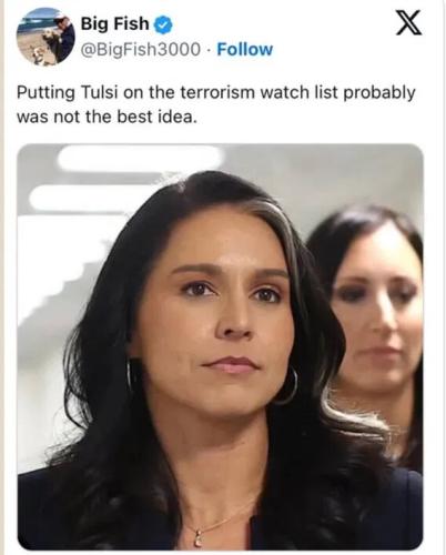 tulsi-terror-watchlist