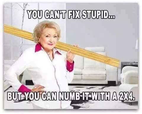 you can't fix stupid but you can numb it