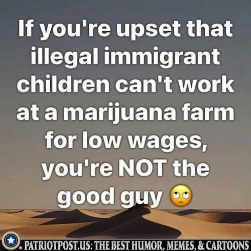 01K0HESG1EBNQ5GGN29JMKHQXA