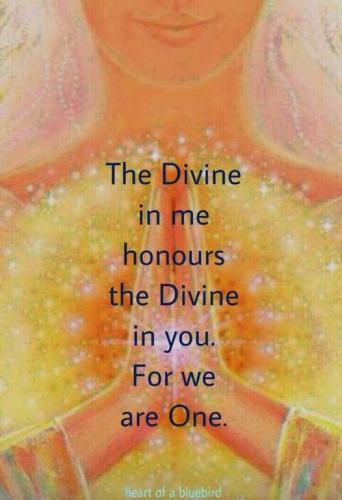 517121639_742646635318198_2253447968674112000_n