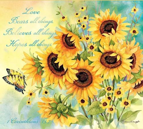 523639949_24726837883576168_2453905200601336678_n