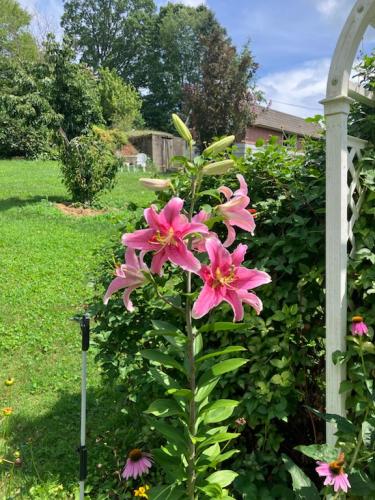 D3EF496C-0915-41B9-9BF4-3D0FD001635A