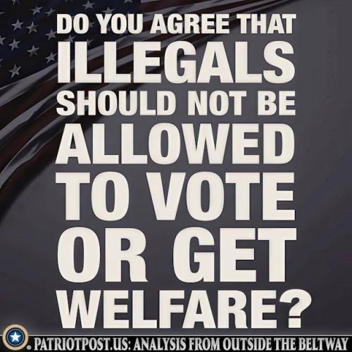 01K0S1TVCW73DRDB1PFKXQ2X9V