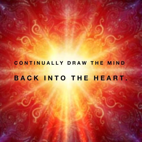 43c3896ee455ad5a919a41a26d773c30