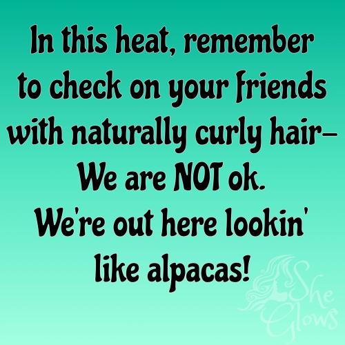 2aba6f166dd031275b8a8f11223028f3