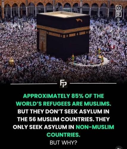 524914888_9843186292454189_2356793339461214855_n