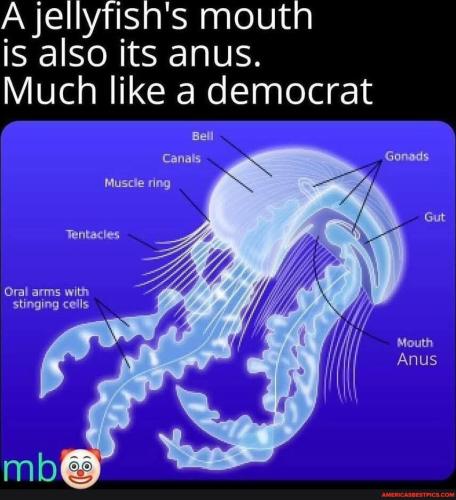 8b27ed4295131e76754d72b3c2d0d7d71532eec15b217be211ca714691c0bc77_1