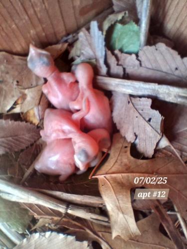 81596543-3c71-49f3-972e-f7ce7e961ca0