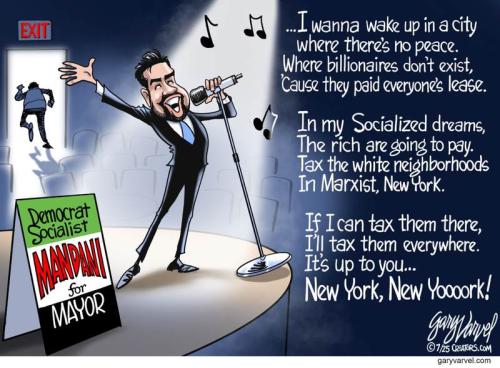 ZOHRAN MAMDANI CARTOON