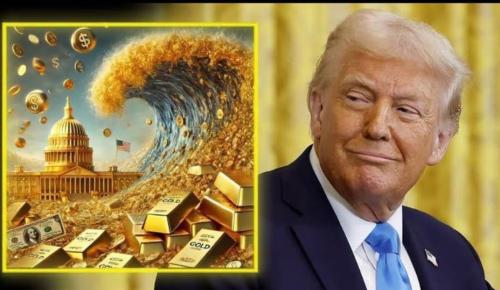 ,      ,     423131509_31904032113