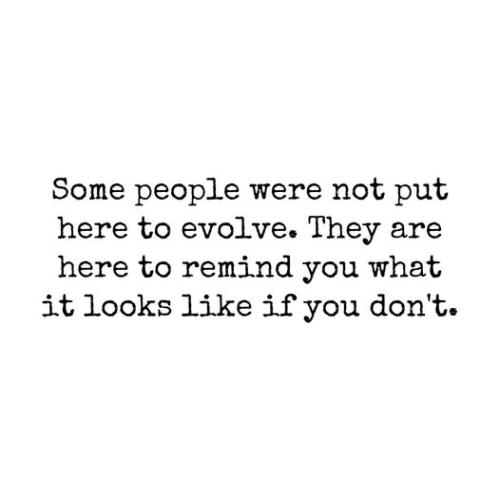 524693114_122129267066822750_8717686672631112523_n