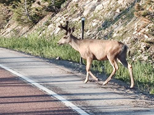 IMG_20250630_060809733