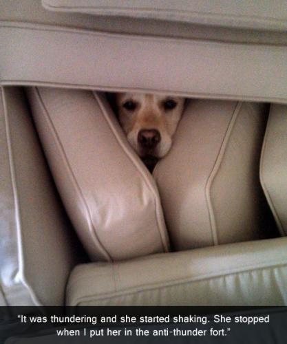 come-in-dog-fort