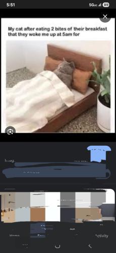 Screenshot_20250724_055118_Google