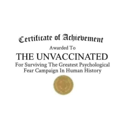 495958149_29872403502344964_8904434571428561118_n