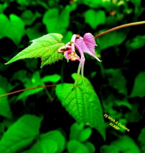 Screenshot_20250706_064639_Gallery