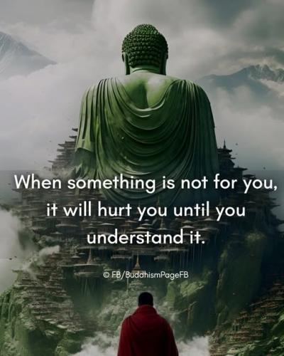 516336419_1045167331067723_5495372366438613467_n