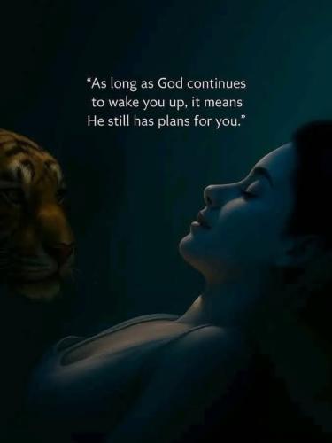 517403746_765625339317403_3512275419518428385_n