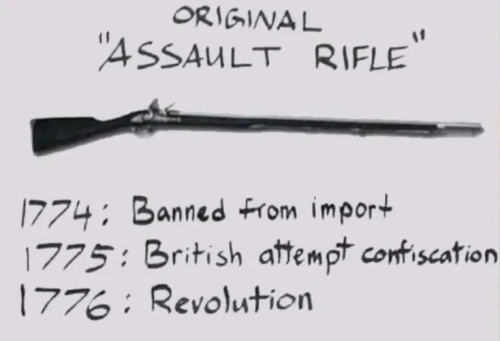 brits-banned-rifles