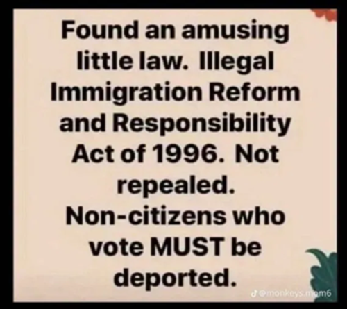 Non-citizensWhoVotedMUSTBeDeported