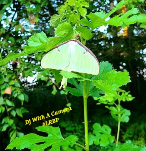 Screenshot_20250706_064708_Gallery