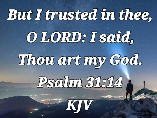 390d2444-e02c-495d-8784-191cd8ffefa1