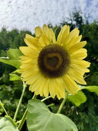 522617023_4131447950407197_4689516928872968583_n