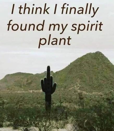 Screenshot_20250728_065134_Gallery