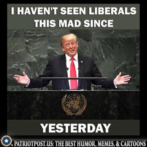 01JZX6XD83YW1PDMC5K9F8RYMN