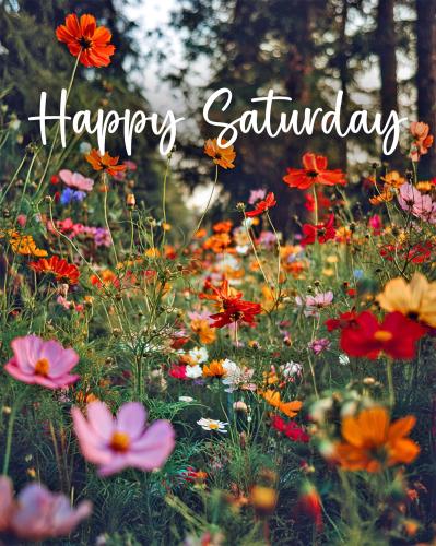 522025070_679936371756277_6639066950615804768_n